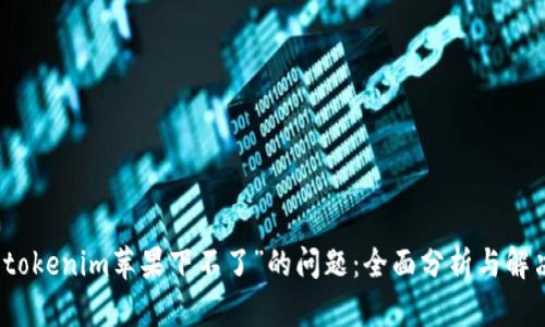 解决“tokenim苹果下不了”的问题：全面分析与解决方案