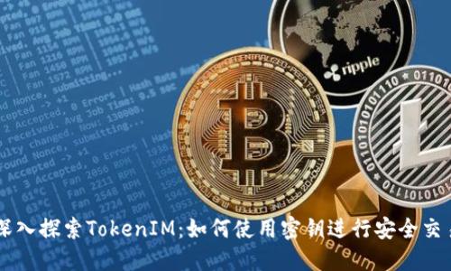 深入探索TokenIM：如何使用密钥进行安全交易