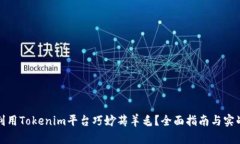 如何利用Tokenim平台巧妙薅