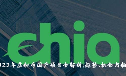 2023年虚拟币国产项目全解析：趋势、机会与挑战
