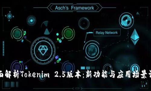 全面解析Tokenim 2.5版本：新功能与应用场景详解