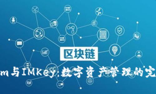 Tokenim与IMKey：数字资产管理的完美结合