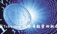 深入解析Tokenim：风险币投