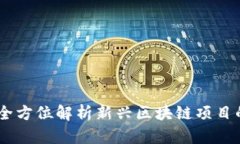 : TokenIM ICO：全方位解析新
