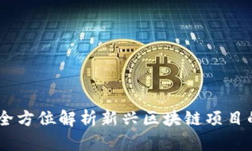 : TokenIM ICO：全方位解析新兴区块链项目的投资机会与风险