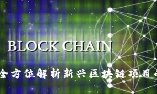 : TokenIM ICO：全方位解析新兴区块链项目的投资机会与风险