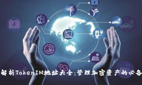 全面解析TokenIM地址大全：管理加密资产的必备工具