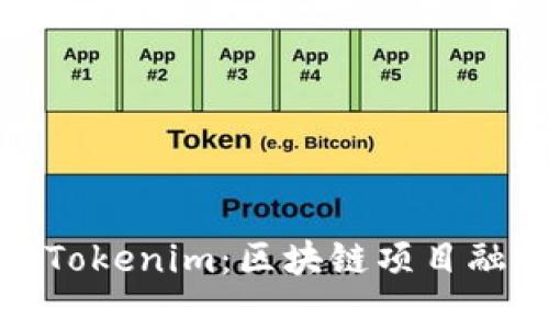 全面解析Tokenim：区块链项目融资新选择