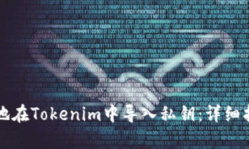 如何安全有效地在Tokenim中导入私钥：详细指南与最佳实践