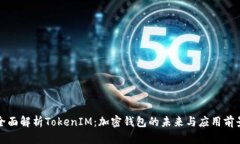 全面解析TokenIM：加密钱包