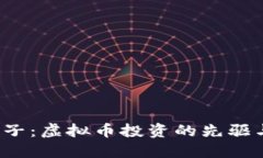  薛蛮子：虚拟币投资的先