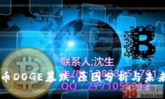 虚拟币DOGE暴跌：原因分析