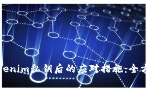 丢失Tokenim私钥后的应对措施：全方位指南
