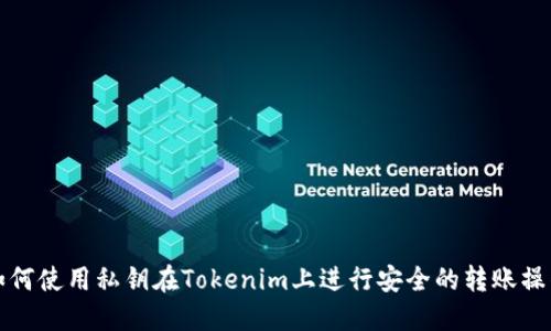如何使用私钥在Tokenim上进行安全的转账操作