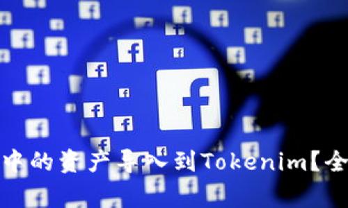 : 如何将麦子钱包中的资产导入到Tokenim？全面指南与注意事项