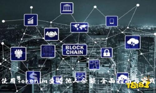 如何使用Tokenim查看他人余额：全面指南与实践技巧