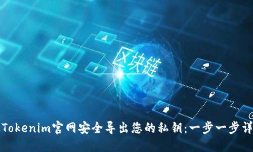 如何从Tokenim官网安全导出您的私钥：一步一步详细指南