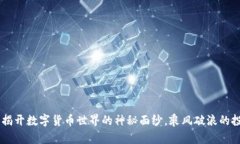 : 疯狂虚拟币：揭开数字货