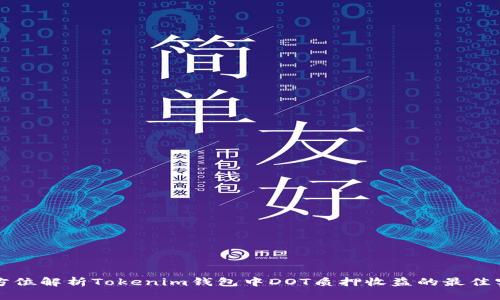 全方位解析Tokenim钱包中DOT质押收益的最佳实践