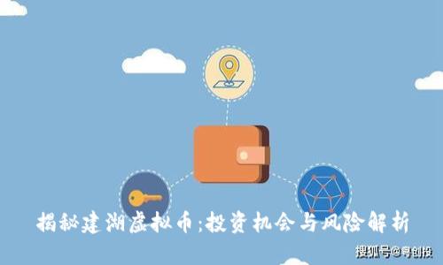 揭秘建湖虚拟币：投资机会与风险解析