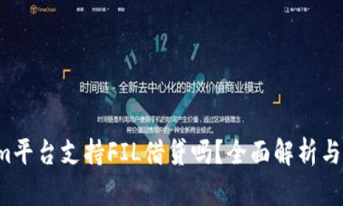 oTokenim平台支持FIL借贷吗？全面解析与用户指南