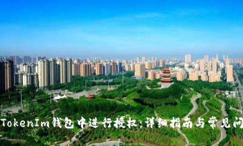 如何在TokenIm钱包中进行授权：详细指南与常见问题解答