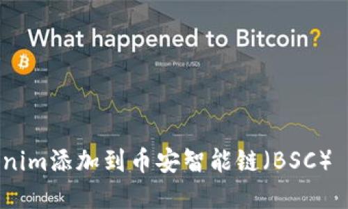 如何将Tokenim添加到币安智能链（BSC） - 完整指南