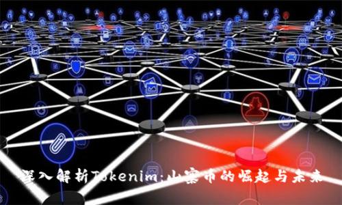 深入解析Tokenim：山寨币的崛起与未来