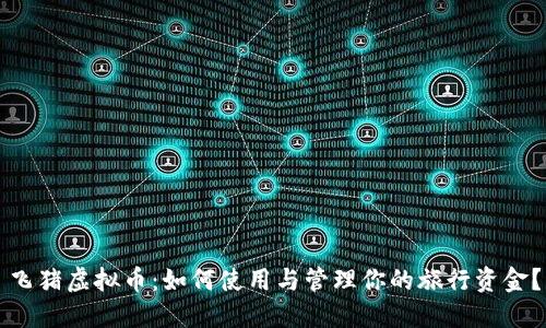 飞猪虚拟币：如何使用与管理你的旅行资金？