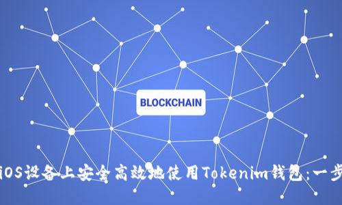 如何在iOS设备上安全高效地使用Tokenim钱包：一步步指南