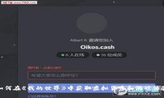 如何在《我的世界》中获