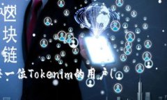 如何设置Tokenim转出币手续