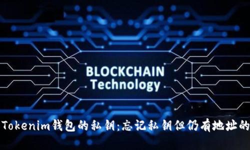 如何找回Tokenim钱包的私钥：忘记私钥但仍有地址的解决方案