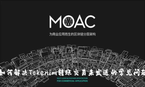 如何解决Tokenim转账交易未发送的常见问题