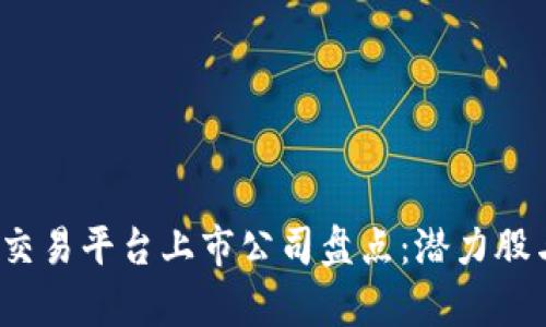 2023年虚拟币交易平台上市公司盘点：潜力股与市场动态分析