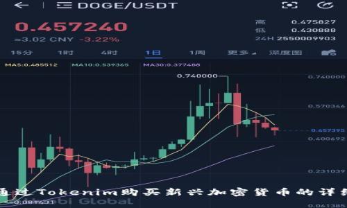 如何通过Tokenim购买新兴加密货币的详细指南